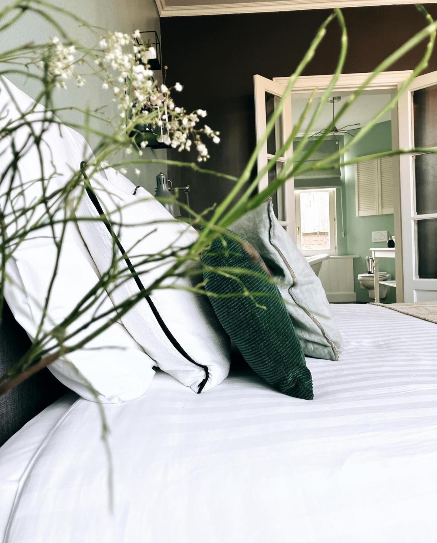 Domus Portus Bed & Breakfast เดนเดอร์มอนเดอ ภายนอก รูปภาพ