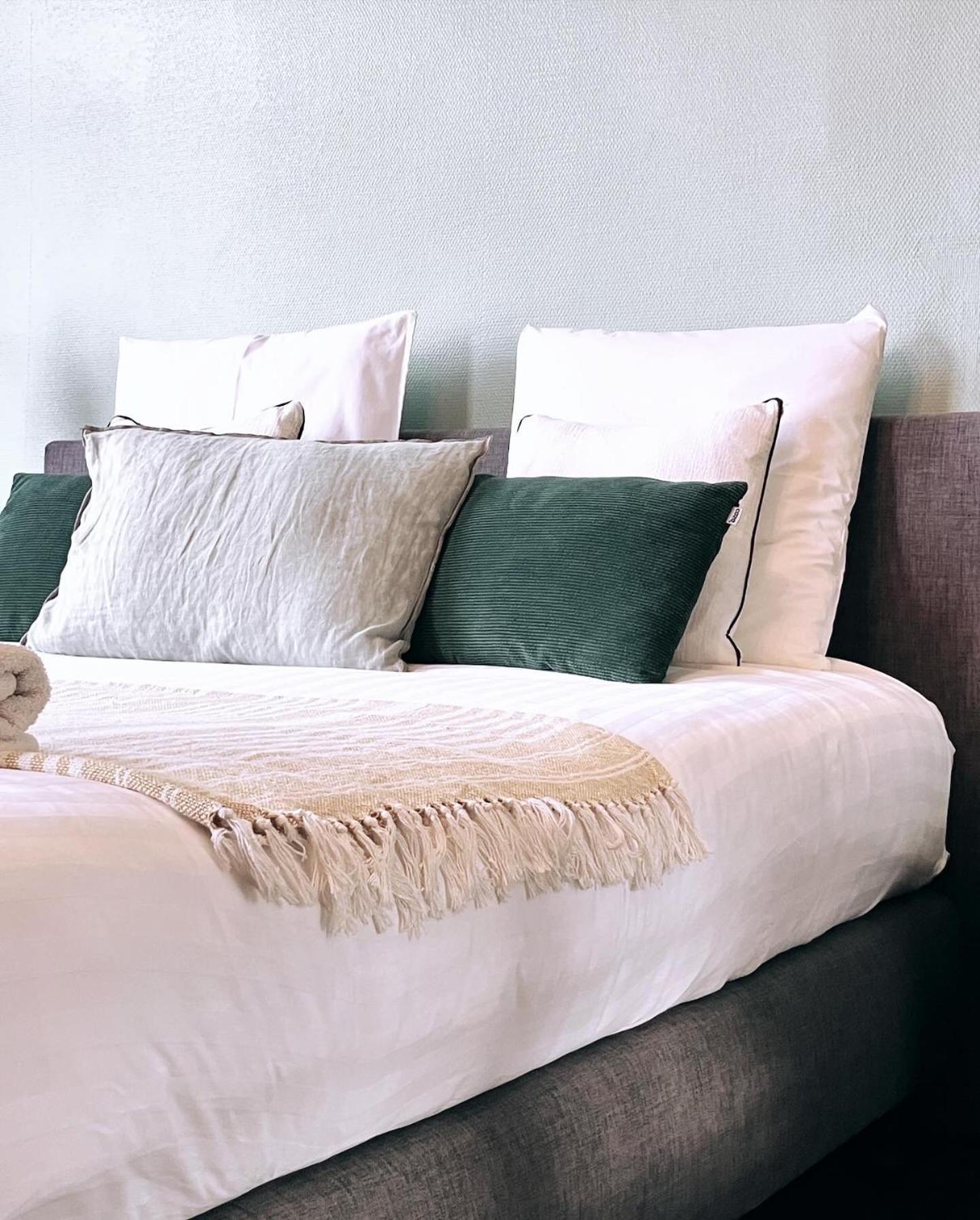 Domus Portus Bed & Breakfast เดนเดอร์มอนเดอ ภายนอก รูปภาพ